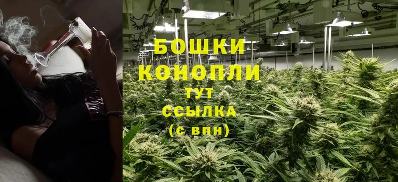 Бошки марихуана OG Kush  где купить наркотик  Каменногорск 